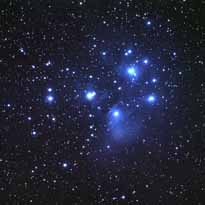 M45_281208_Willi_klein