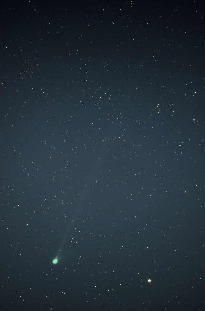 McNaught