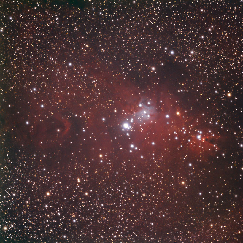 NGC2264