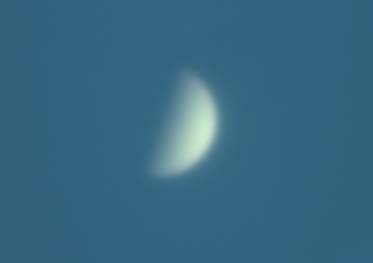 Venus2010081402